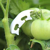 Підтримка коліно для рослин Herbgarden 50 шт.