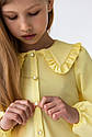 Блузка школьная нарядная для девочек Petrа тм BrilliAnt Размеры 116- 134, фото 2