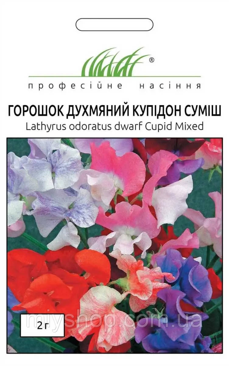 Горошок духм'яний купідон суміш 2 гр Професійне насіння Нидерланды, фото 1