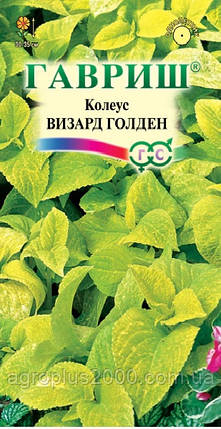 Насіння Колес блюме Візард Голден 5 насіння Гавріш, фото 1