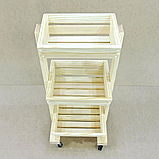 Лоток для овочів і фруктів Окрай, фото 2