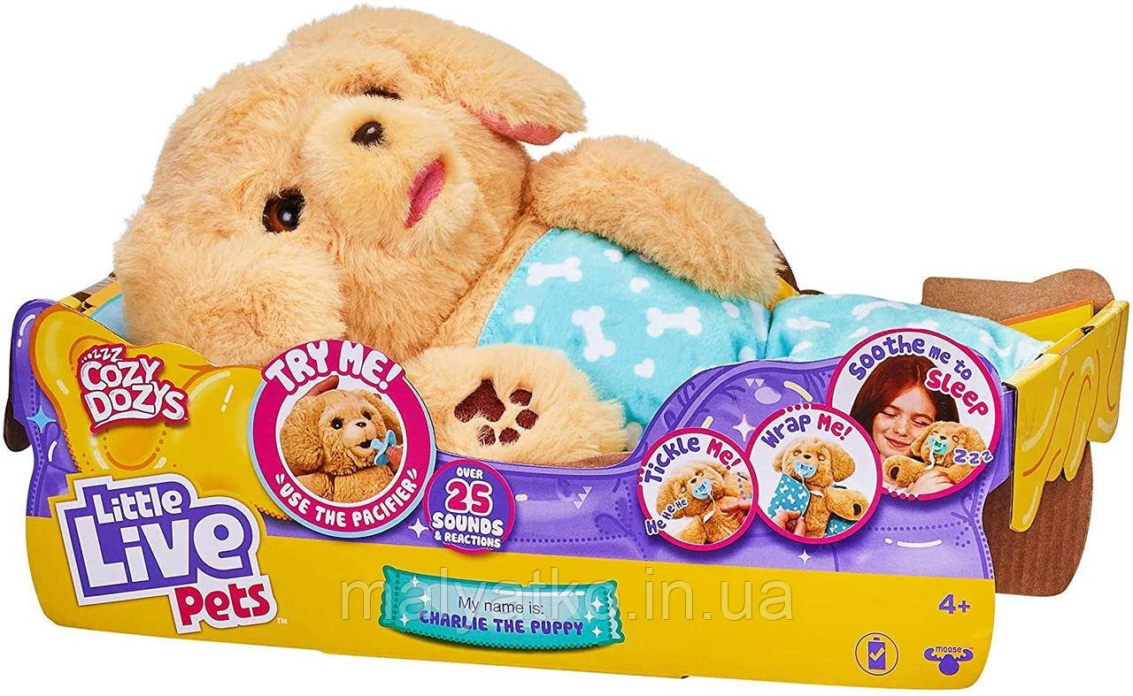 Little Live Pets Cozy Dozys Charlie