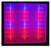 Фітопанель PSP-44 60*60