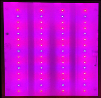 Фітопанель PSP-60 60*60