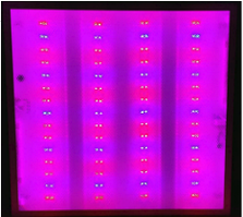 Фітопанель PSP-80 60*60