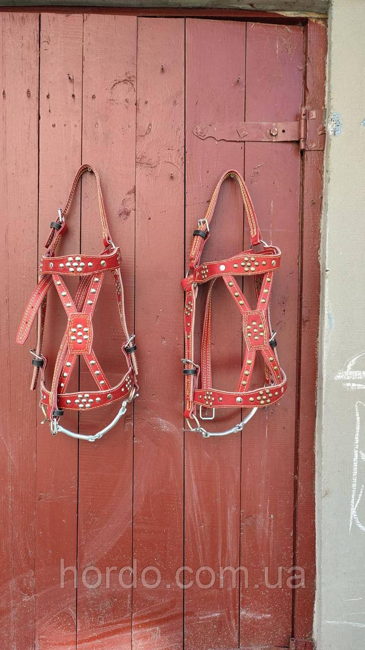 Вуздечка червона на коня., фото 1