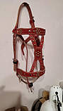 Вуздечка червона на коня., фото 4