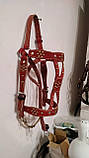 Вуздечка червона на коня., фото 3