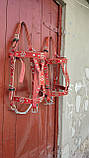 Вуздечка червона на коня., фото 2