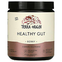 Terra Origin Healthy Gut ягода 243 гр