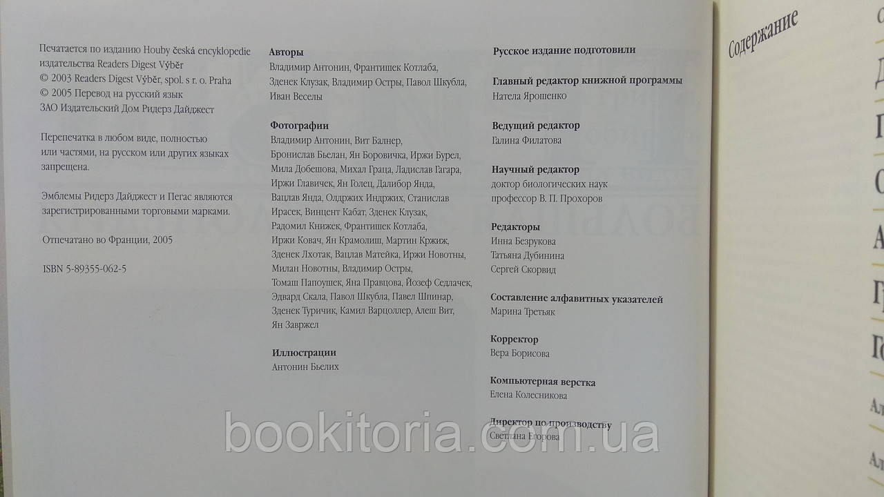 Грибы. Большая энциклопедия (б/у). - фото 4 - id-p1650084714