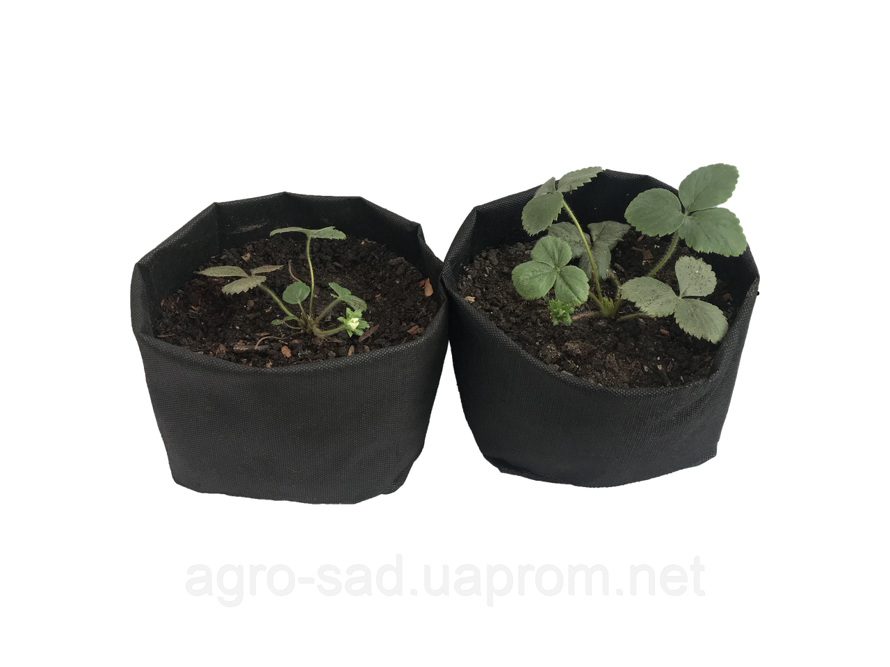 Grow Bag 3,5 литра Тканевый горшок / контейнер для растений (плотность 70 г/м2) - фото 3 - id-p1466982136