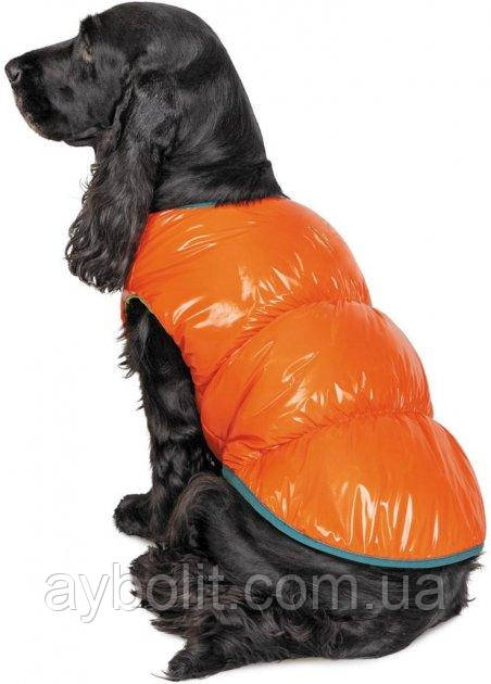 Жилет Pet Fashion "SPRING" для собак размер XS, Оранжевый