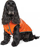 Жилет Pet Fashion "SPRING" для собак размер XS, Оранжевый, фото 6
