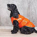 Жилет Pet Fashion "SPRING" для собак размер XS, Оранжевый, фото 3