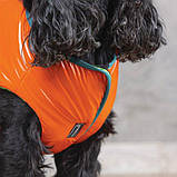 Жилет Pet Fashion "SPRING" для собак размер XS, Оранжевый, фото 4