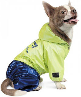 Дождевик для собак Pet Fashion PULSE S Синий с зеленым
