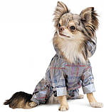 Дождевик для собак Pet Fashion FALL XS Разноцветный, фото 2