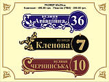Адресна табличка, табличка на будинок з підсвічуванням, фото 5