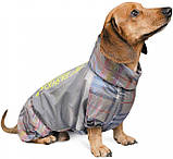 Дождевик для собак Pet Fashion FORCE для таксы XS Серый с желтым, фото 2