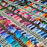 DMC (Франція), фото 7