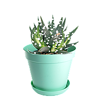 Горщик для квітів з підставкою, Ø 170, тип 6 1,8 л  Гемопласт