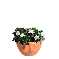 Горщик для квітів, з підставкою, Ø 220, тип 11 (підвісний) 2,5 л Гемопласт