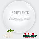 Жувальна Гумка Wrigley's Spearmint Вриглі Спірмінт Блок Упаковок 8*13 г Німеччина, фото 5