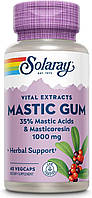 Mastic Gum Extract Экстракт мастиковой смолы 1000 мг Solaray 45 вегетарианских капсул