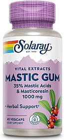 Екстракт мастикової смоли (Mastic Gum Extact) 1000 мг Solaray 45 вегетаріанських капсул