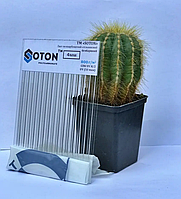 TM Soton (Україна)