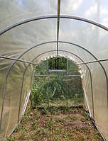 Каркас теплиці Дарина арочний з оцинкованої труби для вирощування рослин на дачі 2х6 м з дверима і вікном
