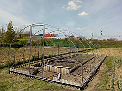 Каркас теплиці Дарина арочний з оцинкованої труби 20х20мм для дачі і саду з дверима та вікном