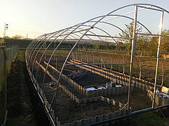 Каркас теплиці Дарина підсилена арочна з оцинкованої труби для саду та городу з дверима і вікном