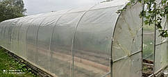 Теплиця "Світлиця - 10" 3х10х2м, труба 20х20х1 мм з плівкою 120 мкм