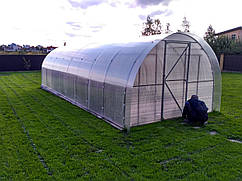 Теплиця з полікарбонатом "Косиця" 4х8 м. з оцинкованої труби 20х20 мм. Полікарбонат тепличний 4 мм.