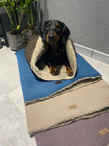 ЛЕЖАКИ НОРА