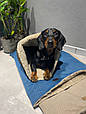 Лежанка НОРА для собаки, кота, лежак для собаки з капюшоном, кота, спальне місце МЕБЛЕВА ЗНОСОСТІЙКА ТКАНИНА, фото 8