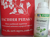 Насіння озимого ріпаку Маркус. Класичний урожайний гібрид озимого ріпаку Маркус 47ц/га., фото 4