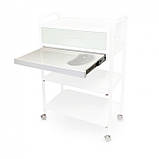 Модуль L-1, фото 2