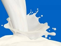 Сухе знежирене молоко 32% білку 1,5% жиру ГОСТ, 25кг Бобровицький молоко завод, фото 2