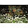 Мікроджителі колом Gardena 01369-29.000.00, фото 3
