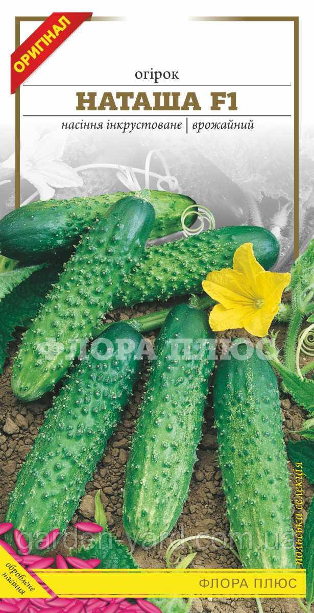 Насіння огірок Наташа F1 1 г Флора плюс