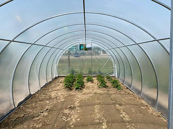 Теплиця "Дарина підсилена" 4х10м, труба 30х30мм з плівкою 150 мкм