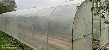 Теплиця "Світлиця - 10" 3х10х2м, труба 20х20х1 мм з плівкою 120 мкм