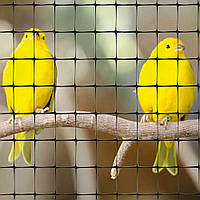 Сітка пластикова вольєрна рулон 2*100м (вічко 12*14мм) чорна