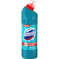 Жидкость для чистки ванн Domestos Свежесть Атлантики 1 л (8717163094952)