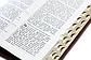 Біблія Сучасний переклад Турконяка розмір 15.5х22 см. Шкіра бізона, індекси, застібка (арт 1056952) Коричнева, фото 4