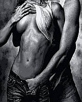 Картина по номерам Скажена пристрасть любов 50 х 60 см Artissimo PNХ4444 melmil