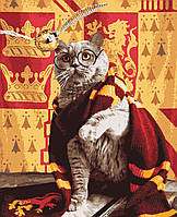 Картина по номерам Гаррі Поттер Котик и снітч 40 х 50 см Artissimo PN9005 melmil